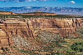 Felsen und Canyons vom Rim Rock Drive im Colorado National Monument aus gesehen