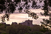 Windsor Castle seen from the River Thames at sunset, Windsor, Berkshire, England, United Kingdom