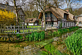 Half-timbered house with stream Veules, Veules-les-Roses, GR 21, Côte d´Albatre, Alabaster Coast, Atlantic Coast, Normandy, France