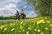 Mann und Frau beim Radfahren mit Blumenwiese im Vordergrund, Radweg am Cher, Loire-Schlösser, Loiretal, UNESCO Welterbe Loiretal, Frankreich