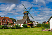 Windmühle Engelmühle in Süderhafen, Halbinsel Nordstrand,  Kreis Nordfriesland, Schleswig-Holstein, Deutschland, Europa 