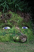 Lost Gardens of Heligan, Cornwall, England