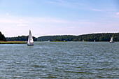 Segelboote auf dem Jezioro Mikołajskie (Nikolaikensee) in den Masuren (Mazury) in der Wojewodschaft Warmińsko-Mazurskie in Polen