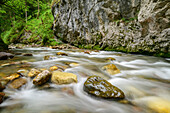 Stream Wildschönauer Ache flows through Kundler Klamm, Wildschönau, Kitzbühel Alps, Tyrol, Austria
