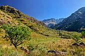 Tal Cataract Valley mit Champagne Castle und Cathkins Peak, Injasuthi, Drakensberge, Kwa Zulu Natal, UNESCO Welterbe Maloti-Drakensberg, Südafrika