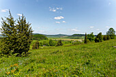 Landschaft im Naturschutzgebiet Wiesenthaler Schweiz, Biosphärenreservat Rhön, Gemeinde Wiesenthal, Wartburgkreis, Thüringen, Deutschland