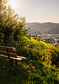 Oppenau in the summer evening light, Oppenau, Renchtal, Baden-Württemberg, Germany