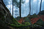 Fog at Felsenmeer, Odenwald, Hesse, Germany