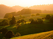 Hilly landscape in the Odenwald, Odenwald, Hesse, Germany