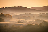 Golden meadows at sunrise, Palatinate Forest, Rhineland-Palatinate, Germany