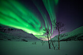 Nordlichter bei Tromsö, Norwegen