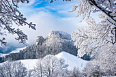 Frostiger Weitblick in die Winterlandschaft; Schweiz, Kanton Basel Landschaft