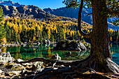 Autumn in Poschiavo; Switzerland, Canton of Graubünden, Lagh de Saoseo