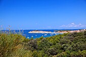 Blick auf die Halbinsel Primosten, Dalmatien, Kroatien