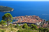 Blick auf die Altstadt von Dubrovnik, Dalmatien, Kroatien