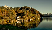 Herbsstimmung am Wolfgangsee, Weiler Brunnwinkl, im Hintergrund der Schafberg, St. Gilgen, Salzburger Land, Österreich