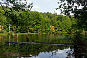 Naturschutzgebiet Lochbornsee bei dem Ort Bieber, Gemeinde Biebergemünd, Naturpark Spessart, Hessen, Bayern, Deutschland