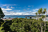 Views of the Wellington New Zealand Botanical Gardens after taking the tram to the top.