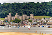 Hafen, Conwy River und Conwy Castle in Conwy, Wales, Großbritannien, Europa
