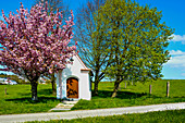 Kleine Kapelle am Wegesrand im Frühjahr, bei Augsburg, Bayern, Deutschland