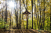 Wegkreuz im Naturpark Westliche Wälder im Herbst, Augsburg, Bayern, Deutschland