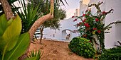 Cretan courtyard, Kokkini Hani, Crete, Greece