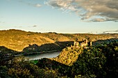 Evening atmosphere on the Rhine, Schönburg in Oberwesel and its silhouette, Upper Middle Rhine Valley, Rhineland-Palatinate, Germany