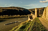 Ehrenfels Castle in the vineyards of Rüdesheim, view into the Rhine Valley, Upper Middle Rhine Valley, Hesse, Germany