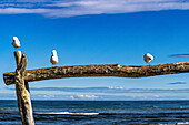 Tasman Sea as seen from Hokitika New Zealand