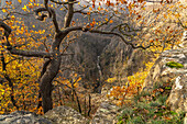 View from the Rosstrappe into the Bodetal in the Harz near Thale, Saxony-Anhalt, Germany