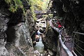 Starzlachklamm bei Sonthofen, Allgäu, Schwaben, Bayern, Deutschland