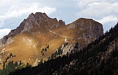 Blick zum Aggenstein im Tannheimer Tal, Ausserferner, Tirol, Österreich