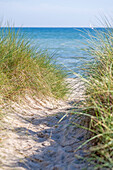 Beach path in the dunes, Baltic Sea, Schleswig-Holstein