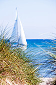 Dunes, sailboat and Baltic Sea, Schleswig-Holstein