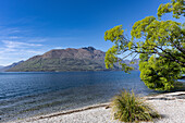 Blick auf den Lake Wakatipu und die Berggipfel neben Queenstown, Neuseeland