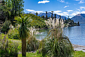 Wunderschöne Farben im Blumengarten der Walter Peak High Country Farm, Neuseeland