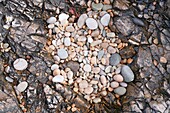 Ireland, County Donegal, Great Pollet Arch, pebbles on the beach