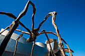 Spinnen-Skulptur 'Maman' vor Guggenheim Museum, Bilbao, Provinz Bizkaia, Baskenland, Spanien