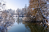 Landschaftsschutzgebiet Wiflinger Weiher (Wörther Weiher), Schneelandschaft und tief verschneite Bäume am Seeufer mit Wasserspiegelung im Sempttal im Erdinger Land in Oberbayern in Deutschland