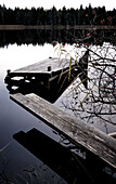 Holzsteg mit Spiegelung an einem Weiher im Herbst, Bernried, Starnberger See, Bayern, Deutschland, Europa