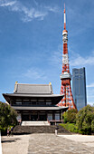 Tokyo Tower vom Tempel Zojoji-Tempel aus, Tokio, Tokyo, Japan, Asien