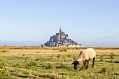 Mont Saint Michel