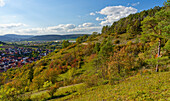 Landscape in the NSG dry areas near Machtilshausen, Bad Kissingen district, Lower Franconia, Franconia, Bavaria, Germany