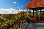 Aussichtspunkt auf die Weinberge bei Wipfeld, Landkreis Schweinfurt, Unterfranken, Franken, Bayern, Deutschland