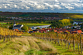 Landscape and vineyards near Wipfeld, Schweinfurt district, Lower Franconia, Franconia, Bavaria, Germany