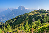 View from Monte Rite to Antelao, Province of Belluno, Alto Adige, South Tyrol, Alps, Dolomites, Veneto, Veneto, Italy