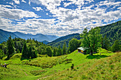 Almweide mit Almgebäude und Wolkenstimmung, Hölleialm, Achenpass, Bayerische Alpen, Oberbayern, Bayern, Deutschland