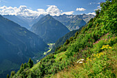 Tiefblick auf Zemmtal und Zillertaler Alpen im Hintergrund, Gamshütte, Zillertaler Alpen, Tirol, Österreich