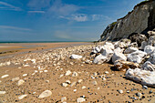 Cliffs and the Cran d&#39;Escalles beach on the Côte d&#39;Opale or Opal Coast in Escalles, France