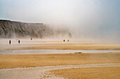 Fog on Cran d&#39;Escalles beach on the Côte d&#39;Opale or Opal Coast in Escalles, France
